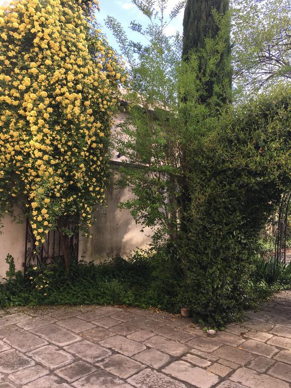 Alla Locanda Del Cinquecento Castrocaro Terme Exteriör bild